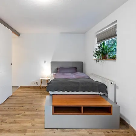 Apartament Haas *