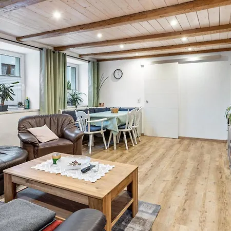 Apartament Haas *